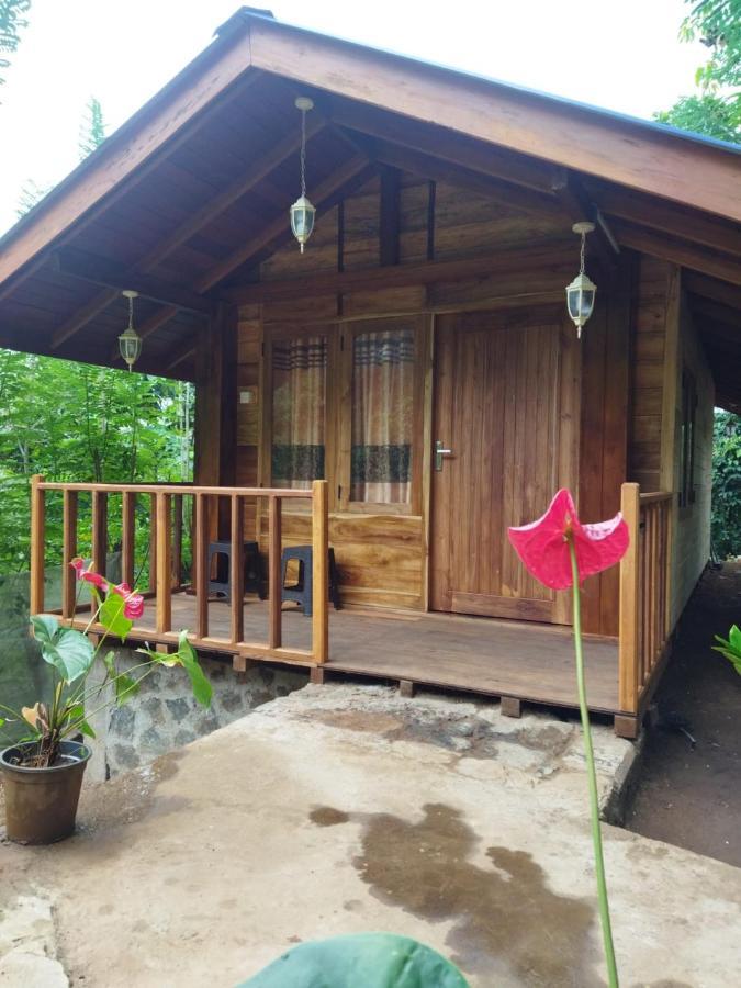 Diyaluma View Cotage Hotel Koslanda Exterior photo
