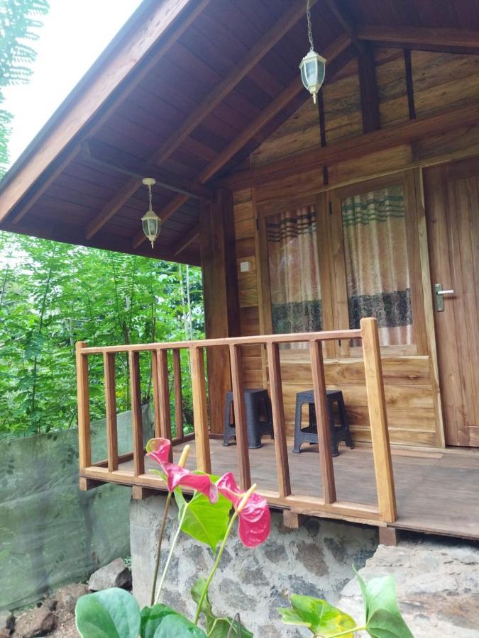 Diyaluma View Cotage Hotel Koslanda Exterior photo